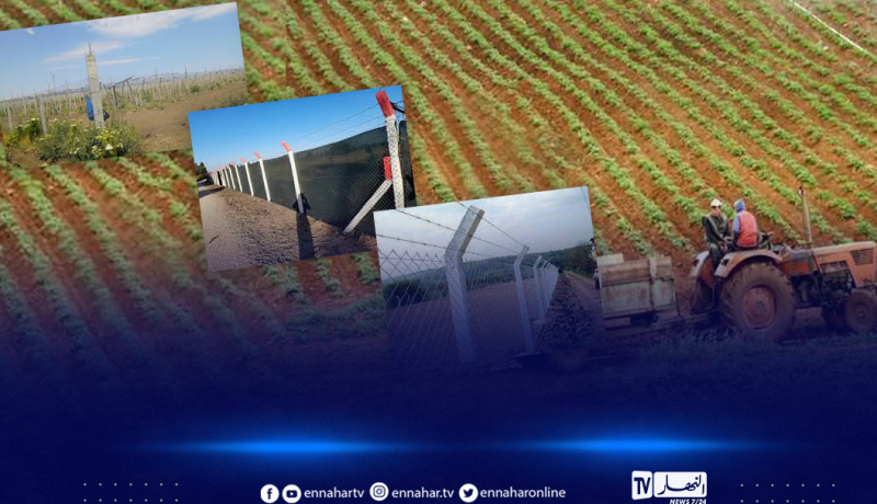 تسييج المستثمرات الفلاحية.. الوزارة تصدر بيانا