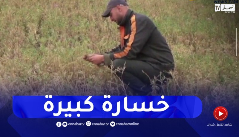 ميلة : أكثر من 400 هكتار من الحمص تواجه مصيرا مجهولا بسبب غياب المياه