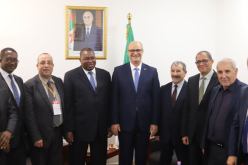 تعزيز التعاون بين الجزائر والاتحاد الإفريقي في مجال الطاقات المتجددة