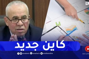 وزير العمل يكشف تفاصيل جديدة للموظف الراغب في إنشاء مشروع خاص به