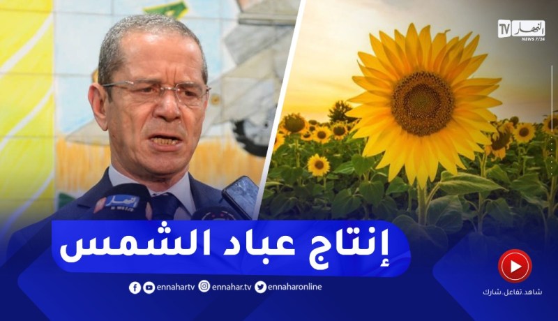وزير الفلاحة: انطلقنا في انتاج “عباد الشمس” ومساره التقني أسهل من السلجم الزيتي