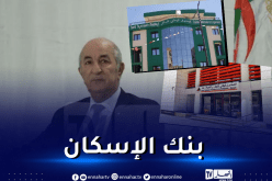 الرئيس تبون يأمر إعداد النص القانوني لإنشاء بنك الإسكان في أجل أقصاه شهر واحد