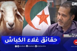 سري جدا: التجارة بالكباش.. من شعيرة إلى تجارة مربحة