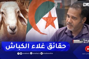 سري جدا: التجارة بالكباش.. من شعيرة إلى تجارة مربحة