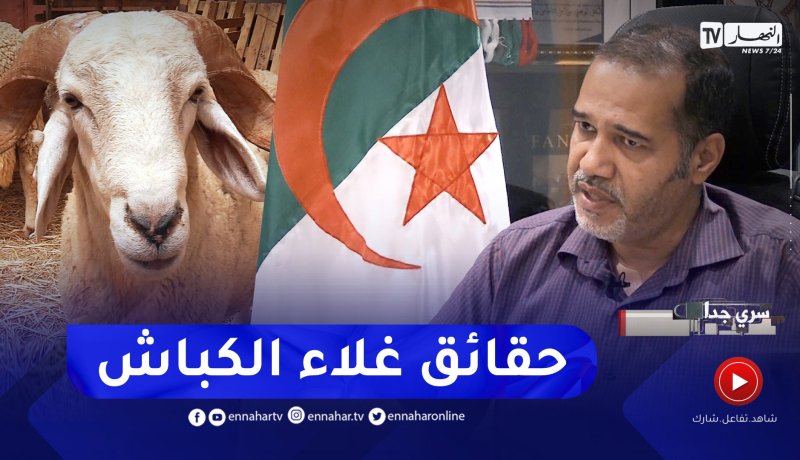 سري جدا: التجارة بالكباش.. من شعيرة إلى تجارة مربحة