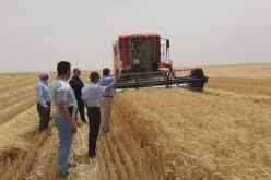 تدعيم أسطول الشاحنات المخصصة لنقل الحبوب بالجنوب