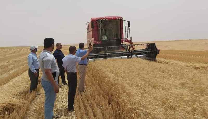 تدعيم أسطول الشاحنات المخصصة لنقل الحبوب بالجنوب