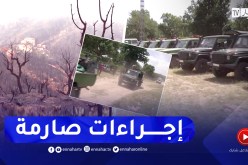 تفاديا لسيناريو الصائفة الماضية.. إستراتيجية محكمة لحماية الغابات من الحرائق