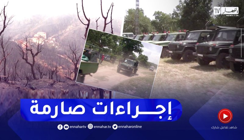 تفاديا لسيناريو الصائفة الماضية.. إستراتيجية محكمة لحماية الغابات من الحرائق