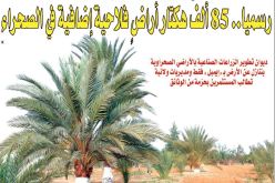 رسميا.. 85 ألف هكتار أراضٍ فلاحية إضافية في الصحراء