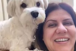 صورة مؤلمة.. كلب شيرين أبو عاقلة ينتظرها إلى اليوم أمام الباب