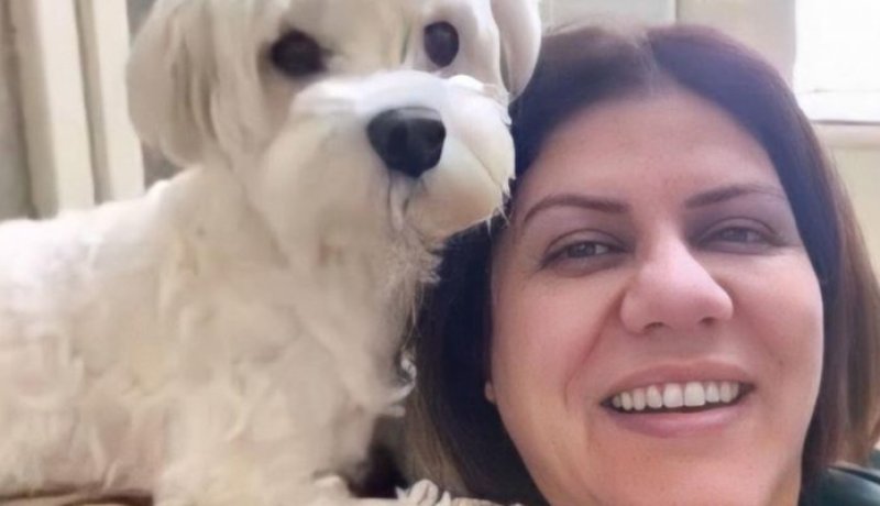 صورة مؤلمة.. كلب شيرين أبو عاقلة ينتظرها إلى اليوم أمام الباب