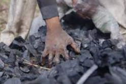 إرتفاع قياسي لأسعار الفحم في أوروبا