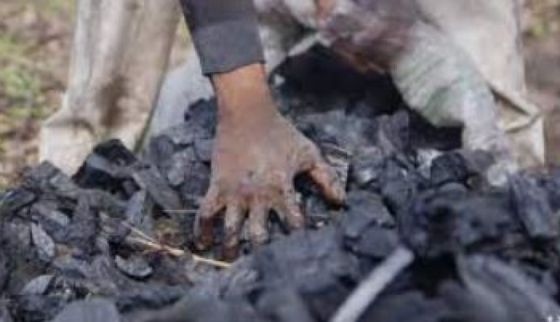 إرتفاع قياسي لأسعار الفحم في أوروبا