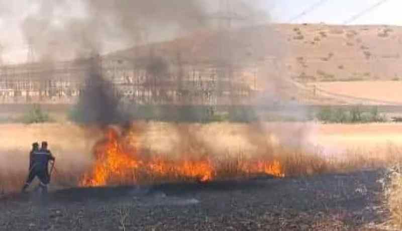 الشلف: إخماد 7 حرائق إندلعت في حشائش يابسة وحقول زراعية
