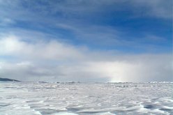 كائنات في القطب المتجمد تنذر بجائحة جديدة