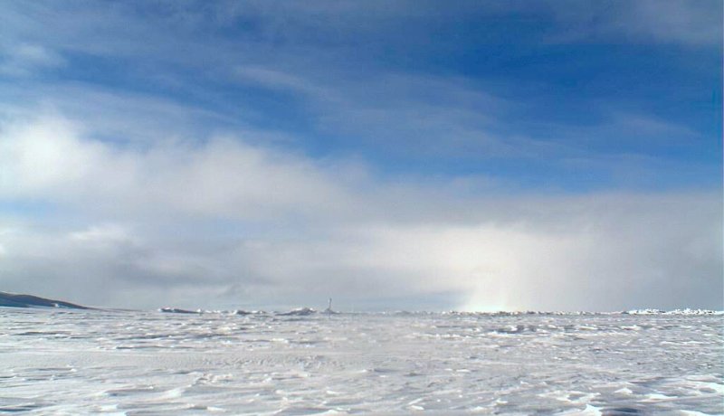 كائنات في القطب المتجمد تنذر بجائحة جديدة