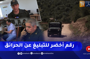 إدارة الغابات: “70-10”.. رقم أخضر للوقاية من حرائق الغابات