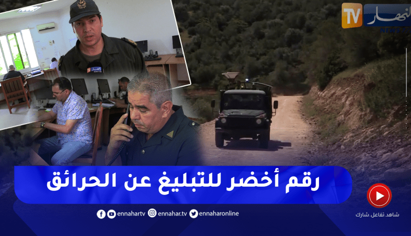 إدارة الغابات: “70-10”.. رقم أخضر للوقاية من حرائق الغابات