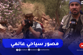 النعامة: بوشطاطة.. المصور المحترف الذي لامس العالمية بعدسته البسيطة