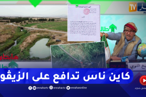 الشيخ النوي: بعد فضيحة السقي بالزيڨو بعين الدفلى..الوالي يتدخل ورئيس البلدية يكذب قبل إكتمال التحقيق