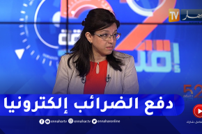 المديرة العامة للضرائب:  بوابة “مساهمتك”  ستمكن من تسديد الضرائب عبر بطاقات “سي إي بي” و”الذهبية”