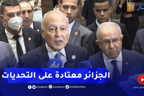 أحمد أبو الغيط: القمة العربية القادمة بالجزائر ستكون ناجحة ولقائي بالرئيس تبون كان إيجابي للغاية