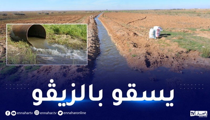 الشلف: توقيف فلاح يسقي محصول الطماطم بالمياه القذرة