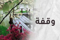 الشاب والحكيم