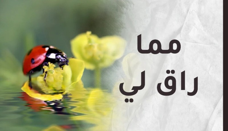 لا تستفد رصيدك من الستر