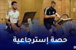 بالصور..الخضر يجرون أول حصة تدريبية بقطر تحسبا لودية إيران