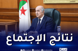 أهم ما جاء في اجتماع مجلس الوزراء