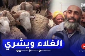 أضاحي العيد هذه السنة لمن استطاع إليها سبيلا..وغلاء الأعلاف حٌجة الموال