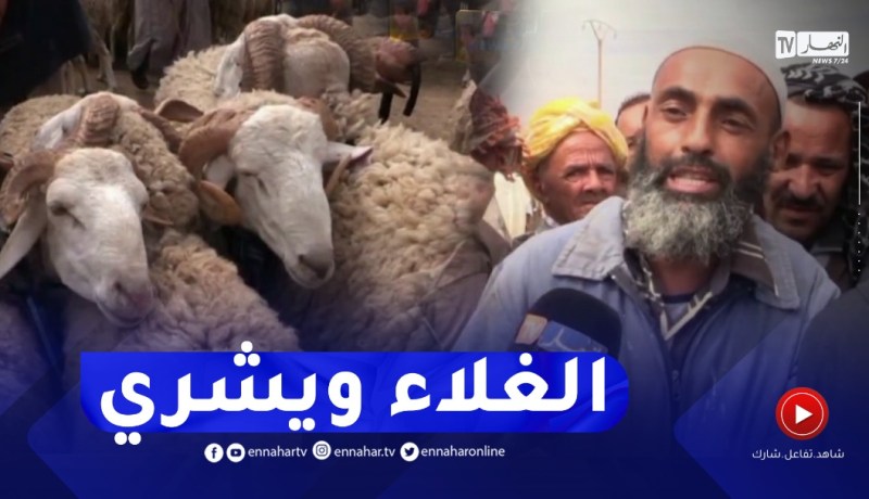 أضاحي العيد هذه السنة لمن استطاع إليها سبيلا..وغلاء الأعلاف حٌجة الموال