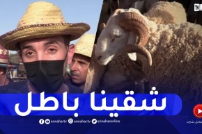 تيارت : مواطنون من العاصمة..عنابة و البويرة يصطدمون بارتفاع أسعار الأضاحي