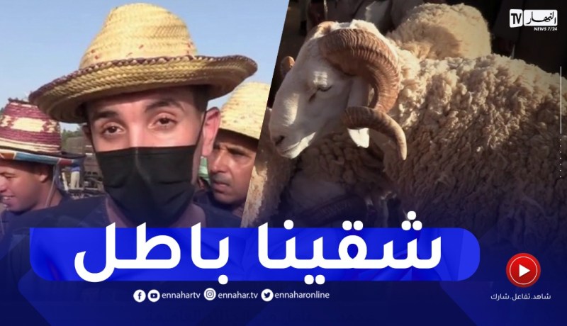 تيارت : مواطنون من العاصمة..عنابة و البويرة يصطدمون بارتفاع أسعار الأضاحي