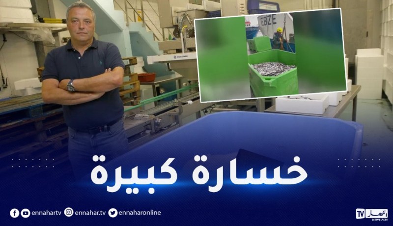 بالفيديو.. إسبانيا ترمي 32 طن من الأسماك بعد إعادة الجزائر للشحنة