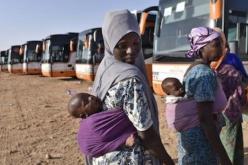 أغوستينو مولاس: الجزائر لها دور كبير وتاريخي في استقبال واحتضان اللاجئين