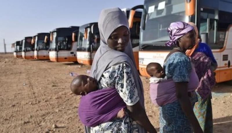 أغوستينو مولاس: الجزائر لها دور كبير وتاريخي في استقبال واحتضان اللاجئين