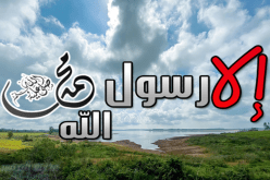 “إلا  رسول الله يا مودي” تجتاح المواقع