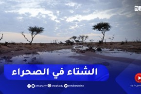 طقس: أمطار رعدية في الولايات الجنوبية