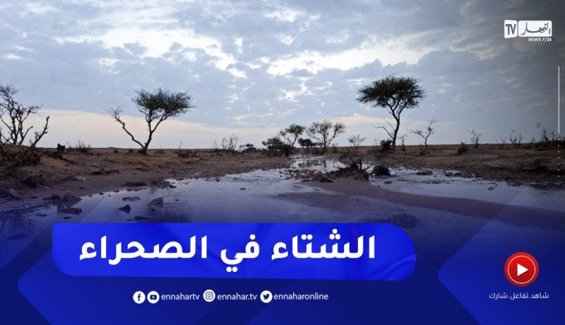 طقس: أمطار رعدية في الولايات الجنوبية