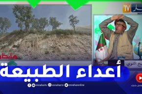 طالع هابط: محجرة ببومرداس تتسبب في تلف الأشجار والقضاء على كل ما يتعلق بالطبيعة