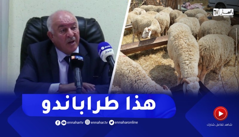ديلمي: يشري الكبش بـ 6 ملاين ويبيعو بـ 9..هذا ما يتسماش موال