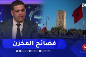 “خبير أمني ..” هذه فضائح المخزن المـ ـغربي
