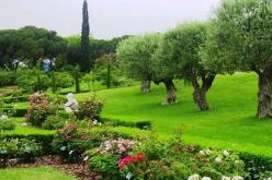 وزيرة البيئة: إعادة تصنيف أي مساحة خضراء يكون برسم