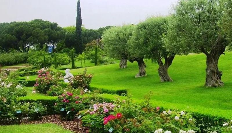 وزيرة البيئة: إعادة تصنيف أي مساحة خضراء يكون برسم