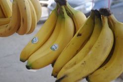 بسبب “البنان”.. توقيف برلماني سابق ونجله عرض وثيقة قضائية على فايسبوك