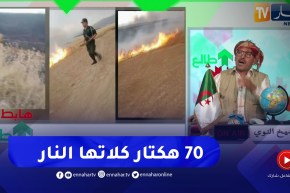 الشيخ النوي: حريق كبير يلتهم محاصيل زراعية بعين الدفلى ولا واحد هدر عليها