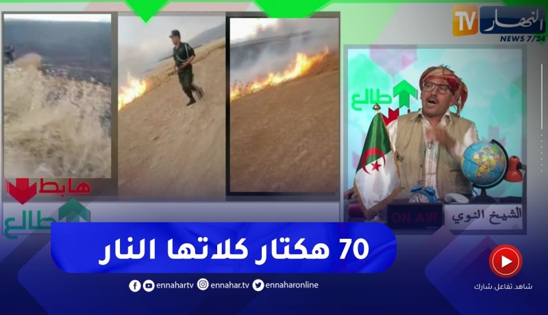 الشيخ النوي: حريق كبير يلتهم محاصيل زراعية بعين الدفلى ولا واحد هدر عليها